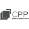 CPP empresa que confió en los servicios de Agencia de Marketing Digital en Chile